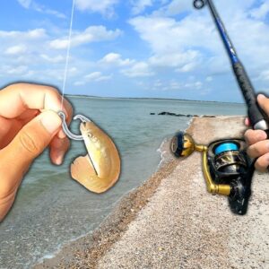 What will EAT a LIVE MINNOW in the Surf?? (Saltwater Fishing)