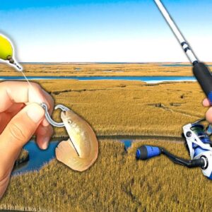Fishing w/ MUD MINNOWS for Creek GIANTS! (Saltwater Fishing)