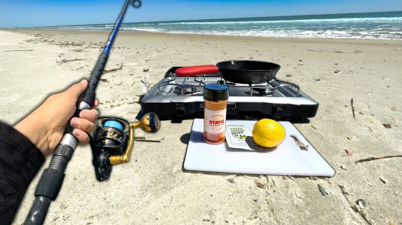 SOLO Beach Fishing.. Eating Whatever I Catch (Catch and Cook)